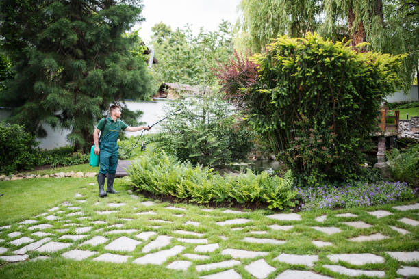 Best Commercial Pest Control Services  in Sauk Rapids, MN
