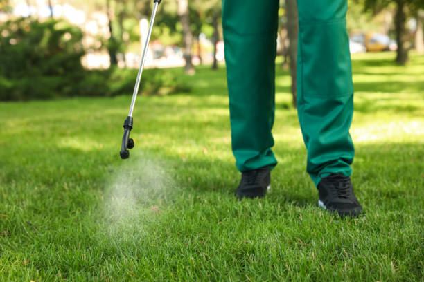 Wildlife Control Services in Sauk Rapids, MN