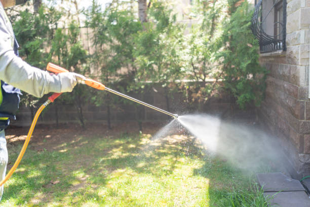 Best Exterminator Services  in Sauk Rapids, MN