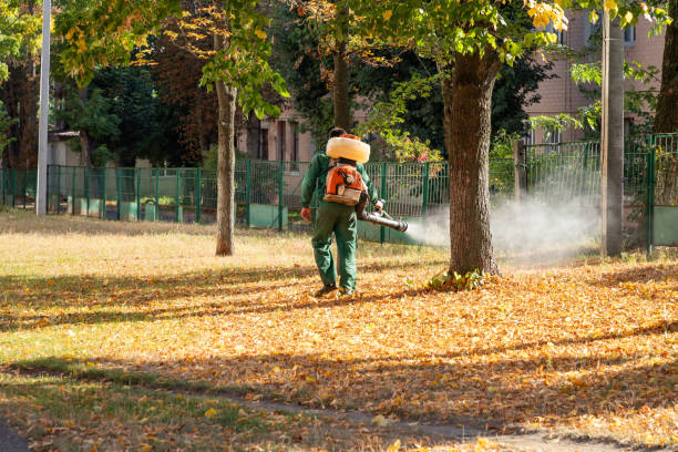 Best Flea Control Services  in Sauk Rapids, MN